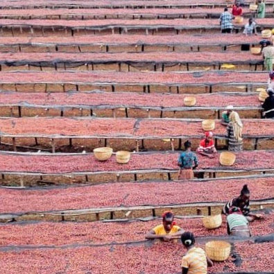 Aricha Gift Subscription *Includes Free Shipping*