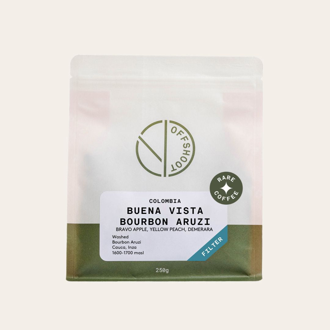 Buena Vista - Bourbon Aruzi *Rare*