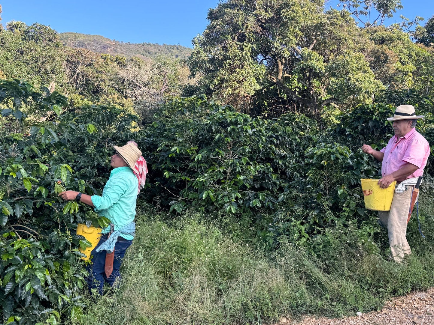 El Encanto