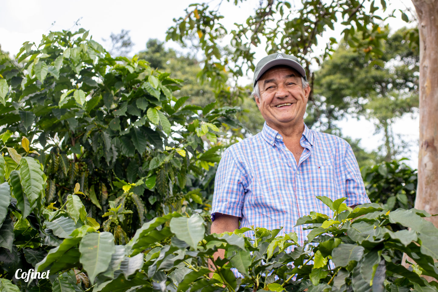 Jairo Arcila - Peach *Rare*