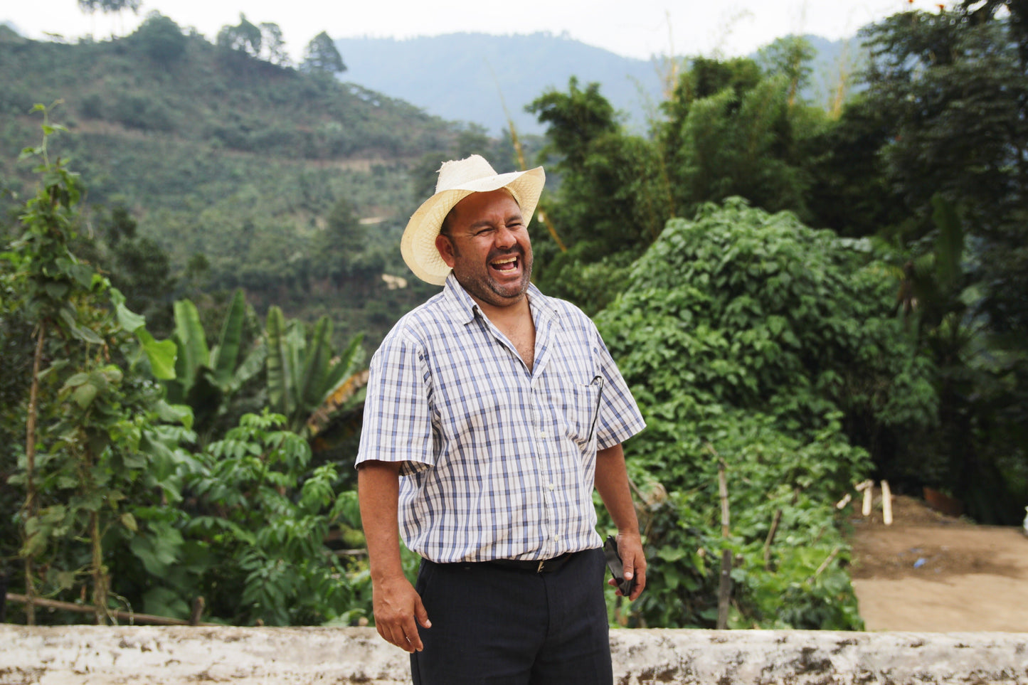 Las Rosas - Geisha *Rare*