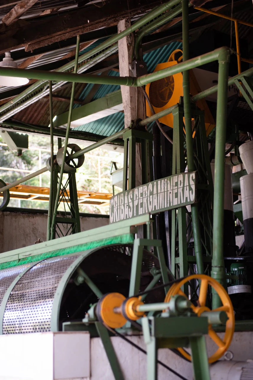 Las Isabellas - SL28