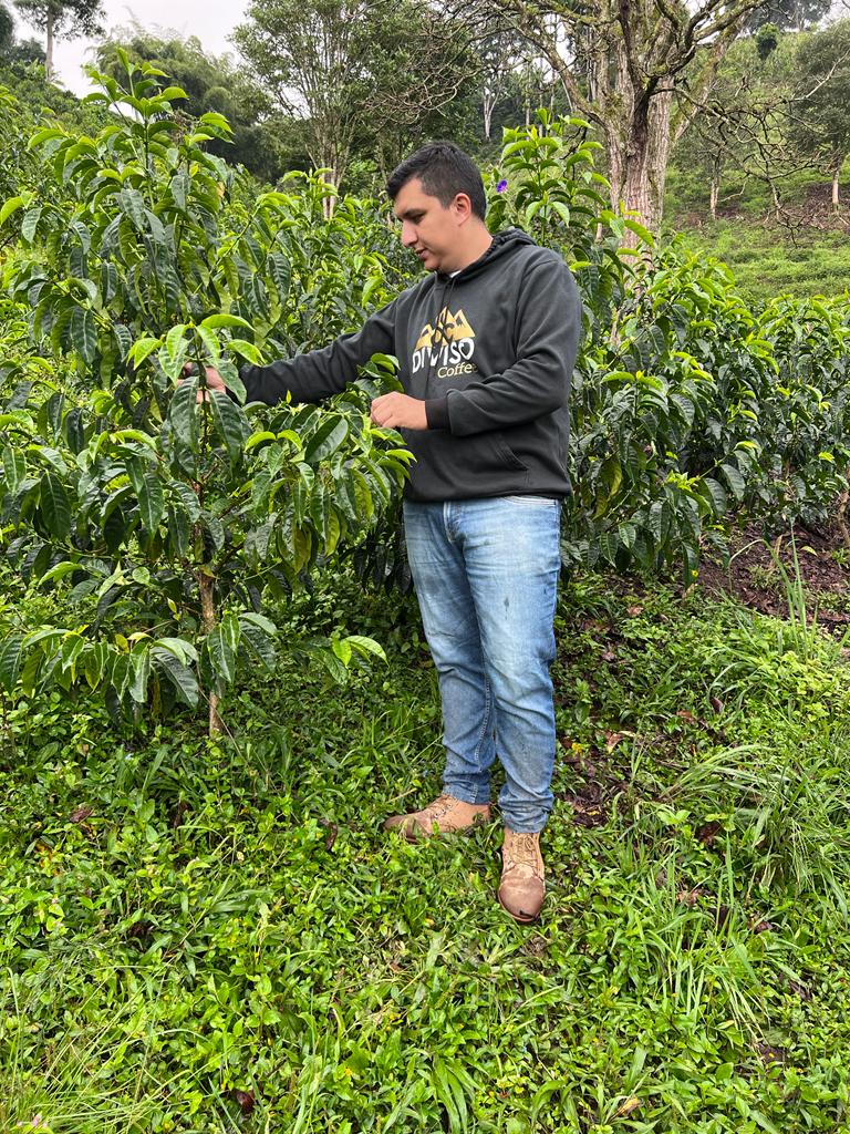 Nestor Lasso - Ombligon *Rare*