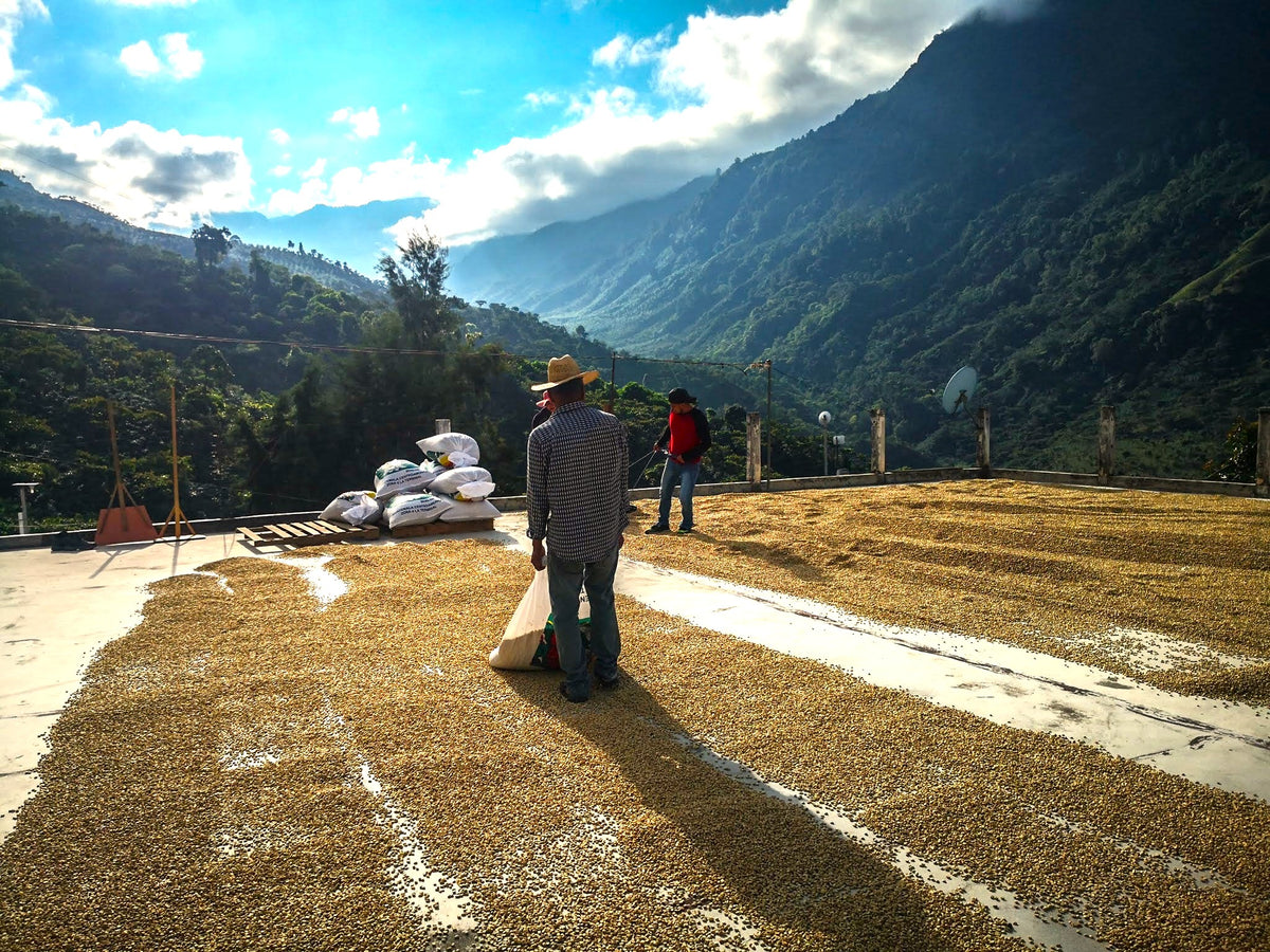 Sipro Amatenango