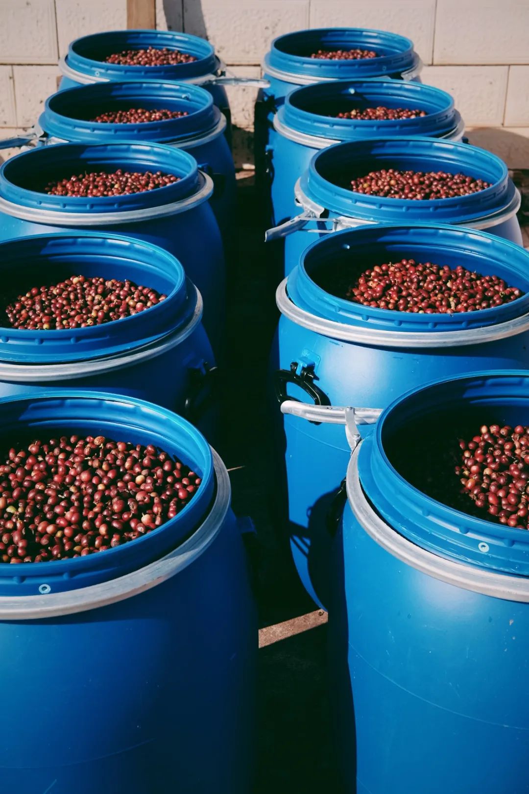 Yunnan Discovery Bundle 3x250g