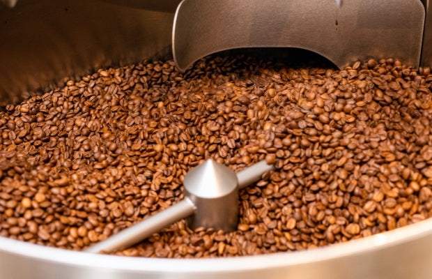 A Rare Ethiopian Release: Ayla Anaerobic