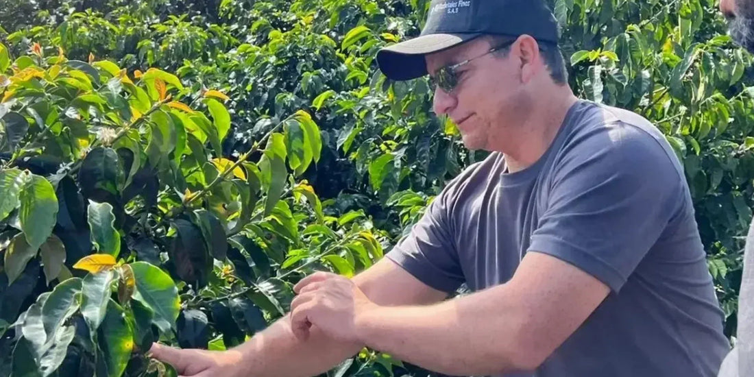 Offshoot Cupping feat. Wilton Benitez - 25th Sept Thursday