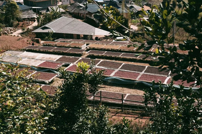 Xingang