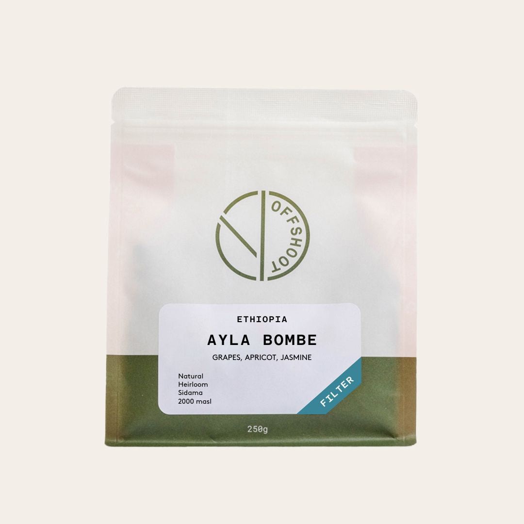Ayla Bombe