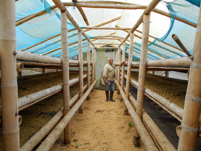 Patio Bonito - Gesha *Rare*