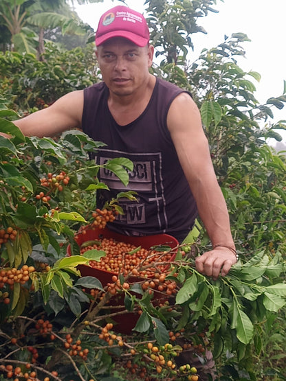 El Higueron