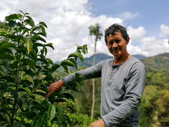 La Estrella