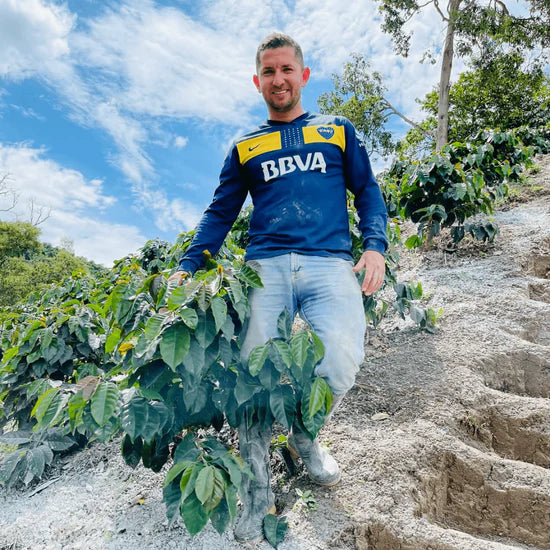 Jhonatan Gasca - Pacamara *Rare*