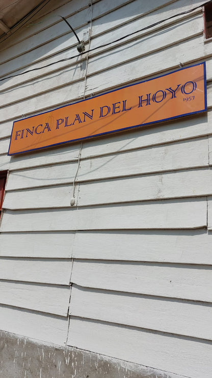 Plan del Hoyo Geisha Washed *Rare*