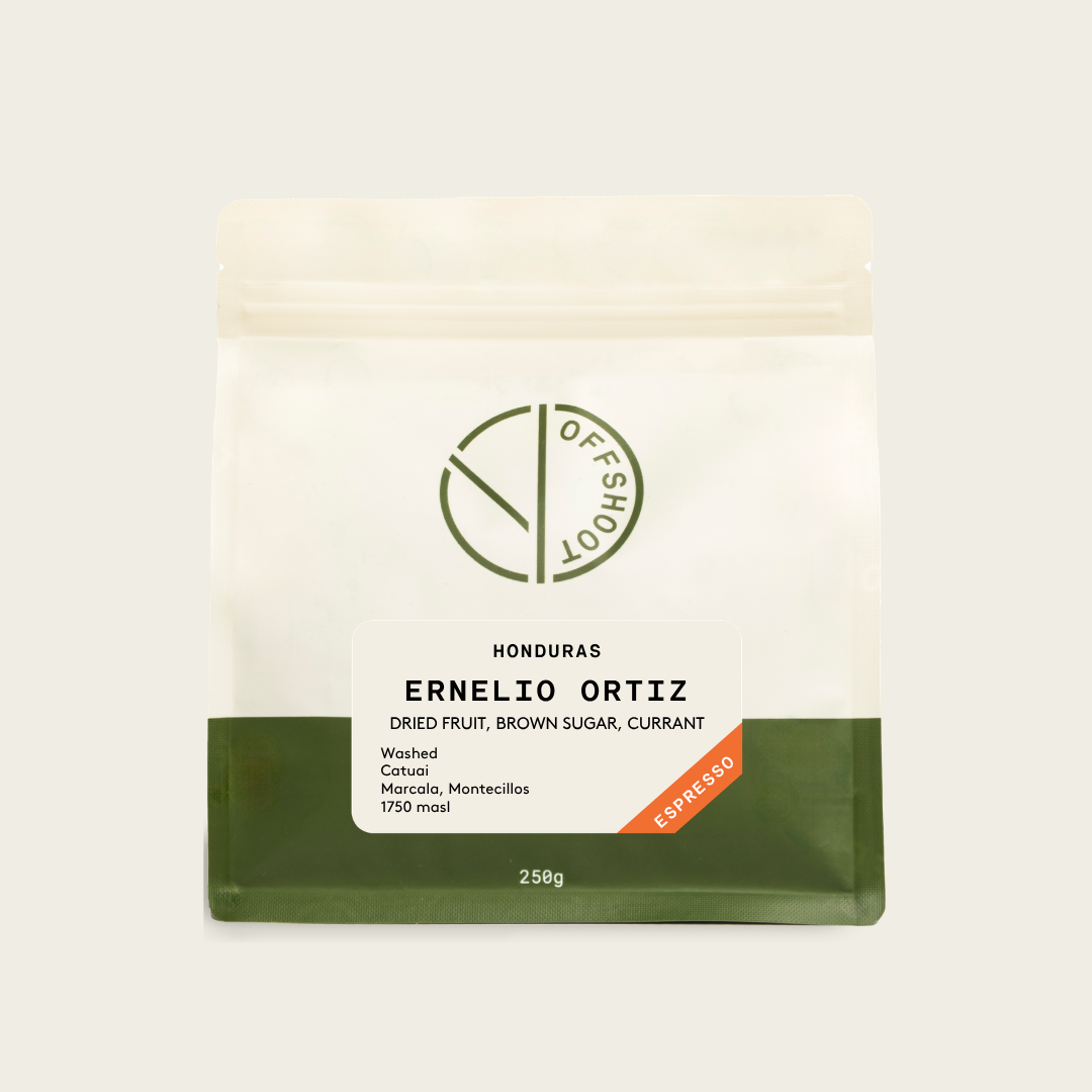 Ernelio Ortiz