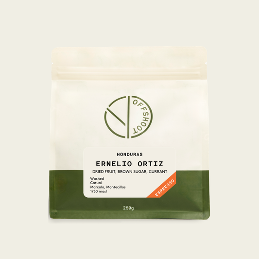 Ernelio Ortiz