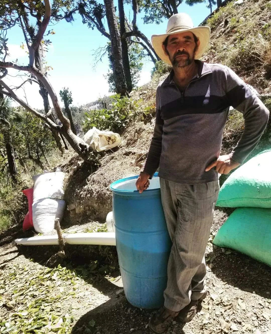 Ernelio Ortiz