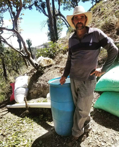 Ernelio Ortiz