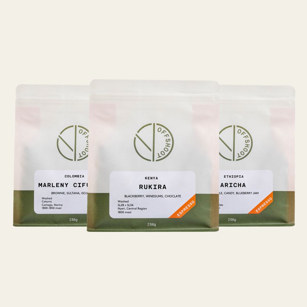 Espresso Coffee Bundle 3x250g - Gift Subscription *Includes Free Shipping*