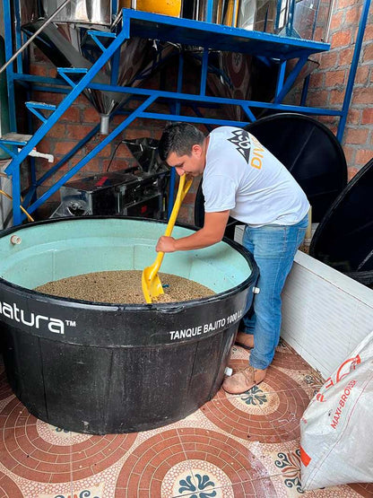 Las Flores – Sidra *Rare* 2024