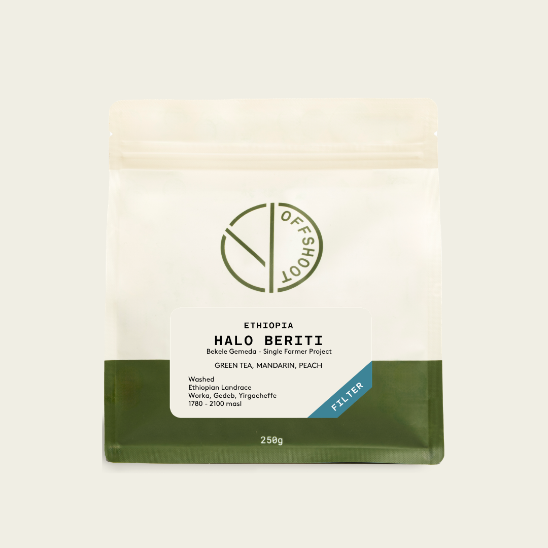 Halo Beriti - Bekele Gemeda - Single Farmer Project