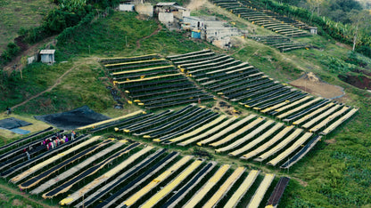 Harsu Sala