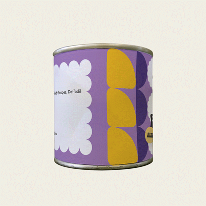 Iris Estate - Aril *Rare*