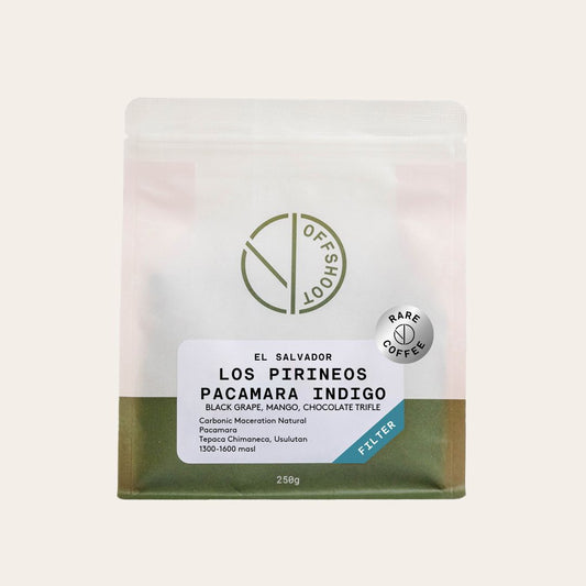 Los Pirineos - Pacamara Indigo  *Rare*