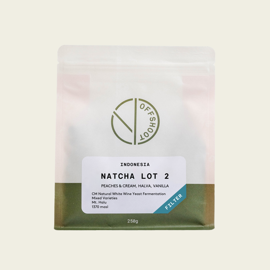 Natcha Lot 2