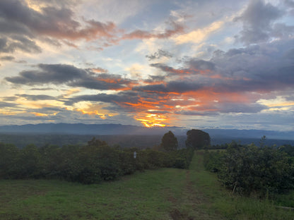 Wilton Benitez - Tabi *Rare*