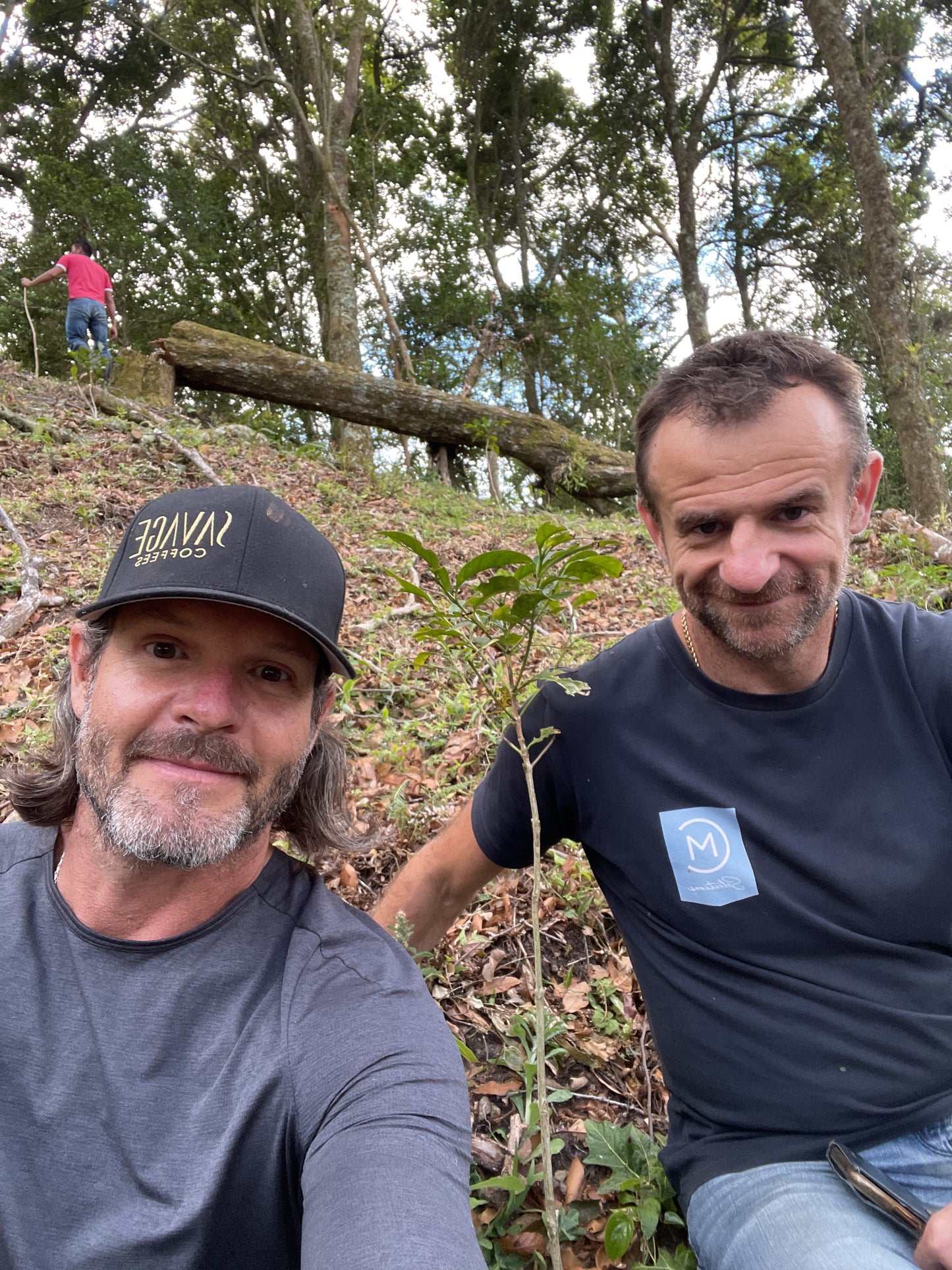 Iris Estate - Aril *Rare*