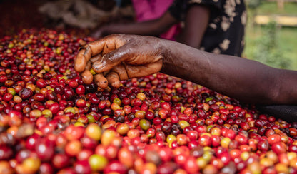 Pequenas Fincas