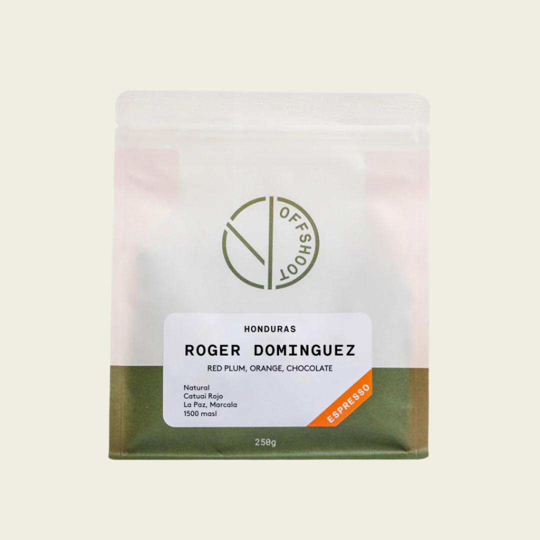 Roger Dominguez