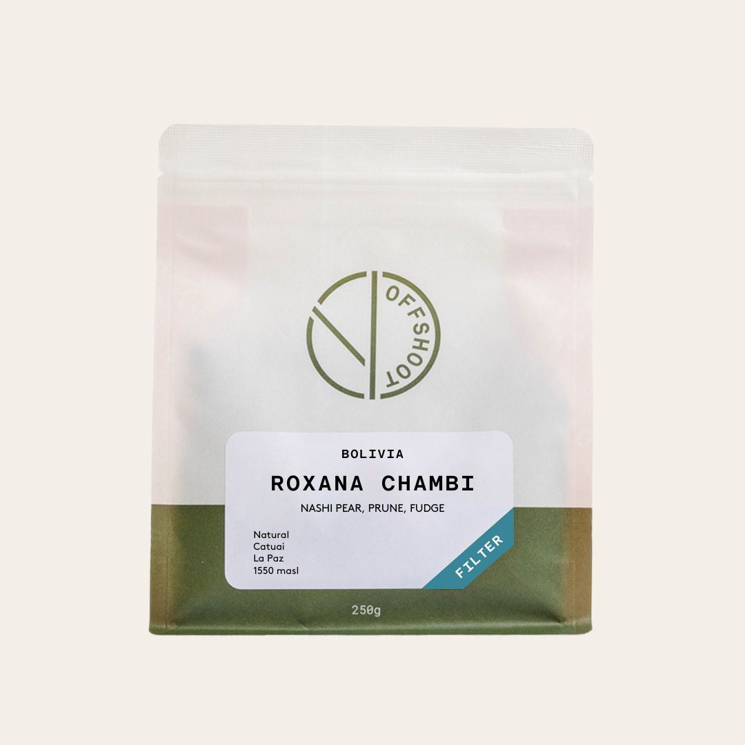 Roxana Chambi