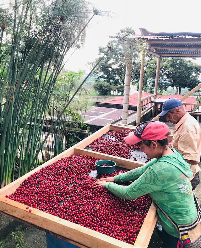 Sebastian Ramirez - Pink Bourbon *Rare*