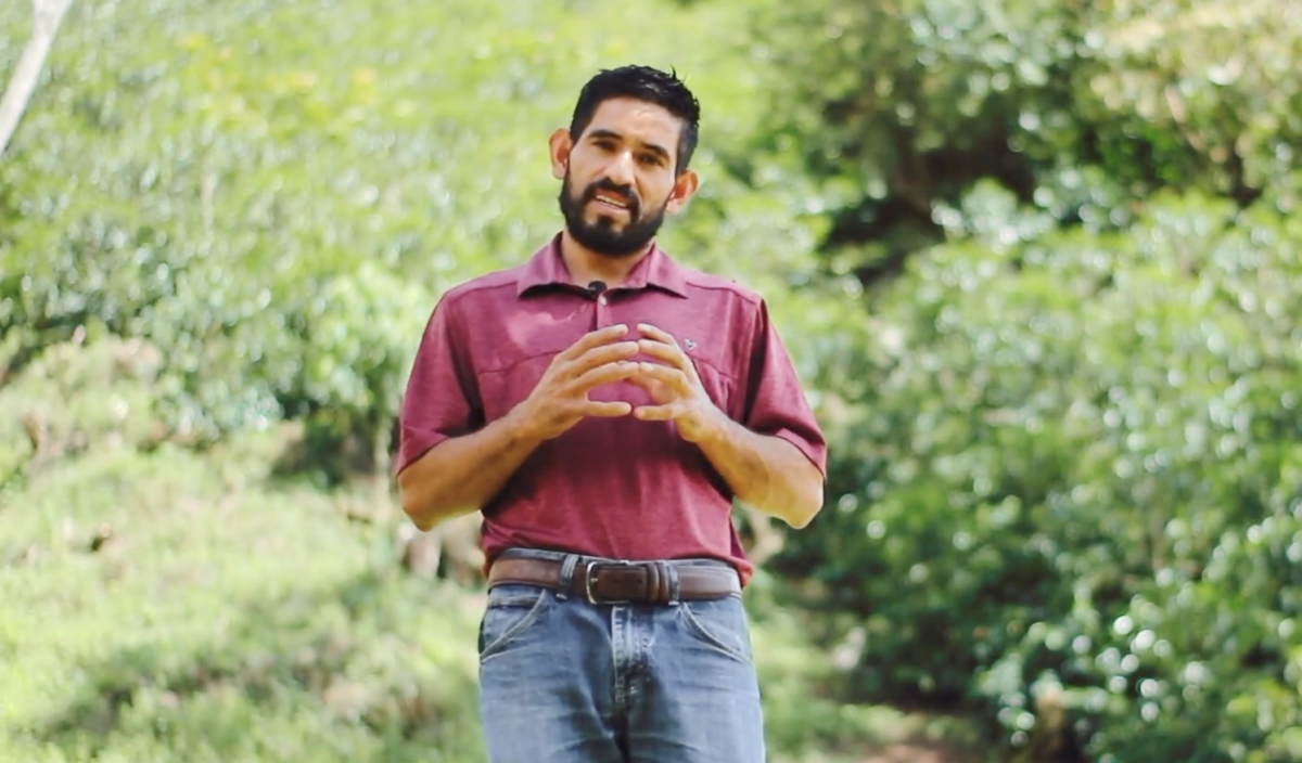 Las Virginias Geisha Washed