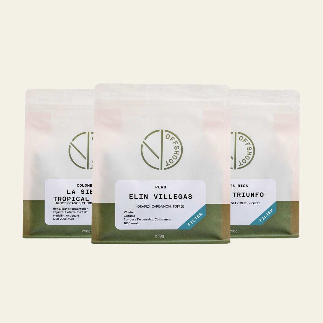 Filter Coffee Bundle 3x250g - Gift Subscription *Includes Free Shipping*