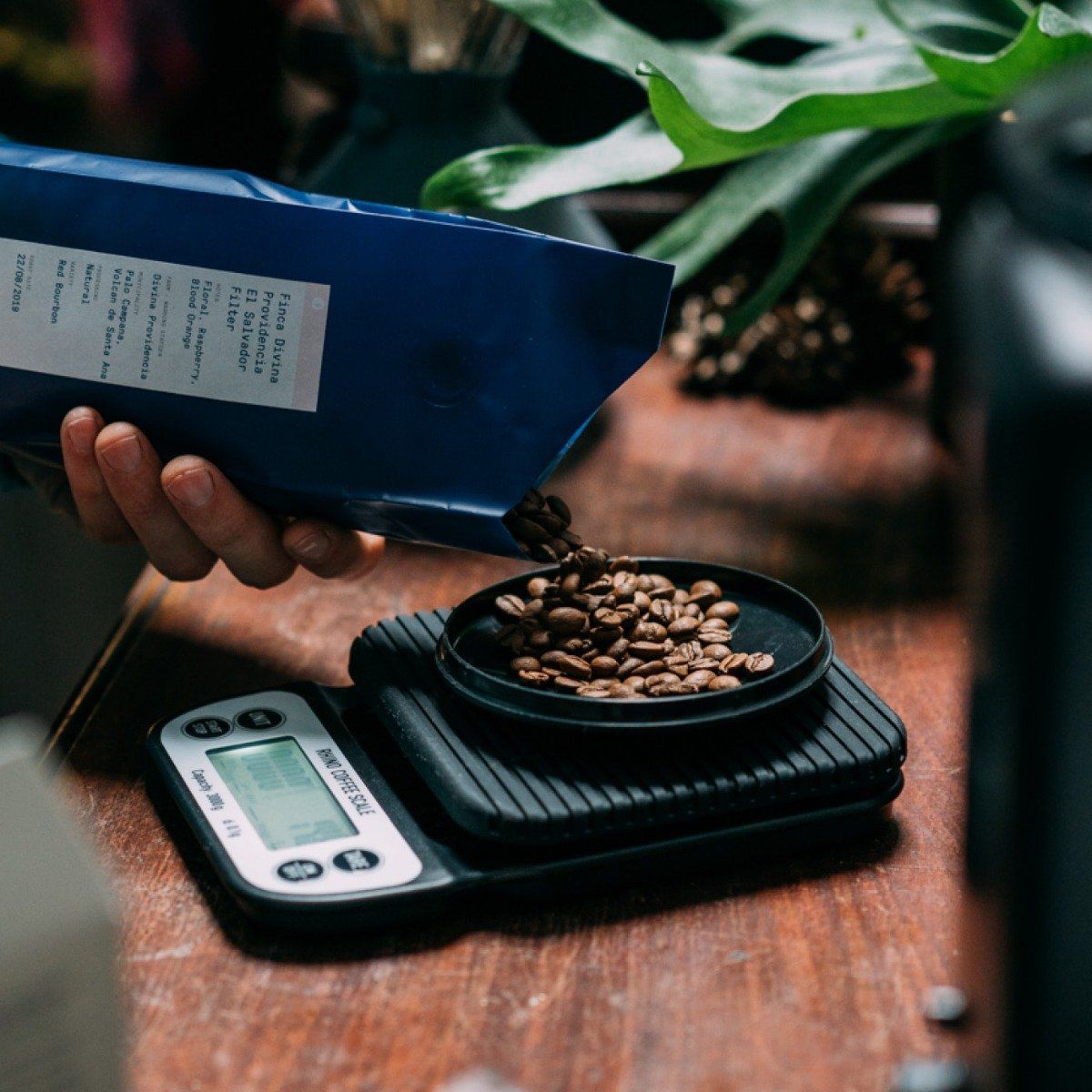 Rhino Brewing Scales 0.1g-3kg